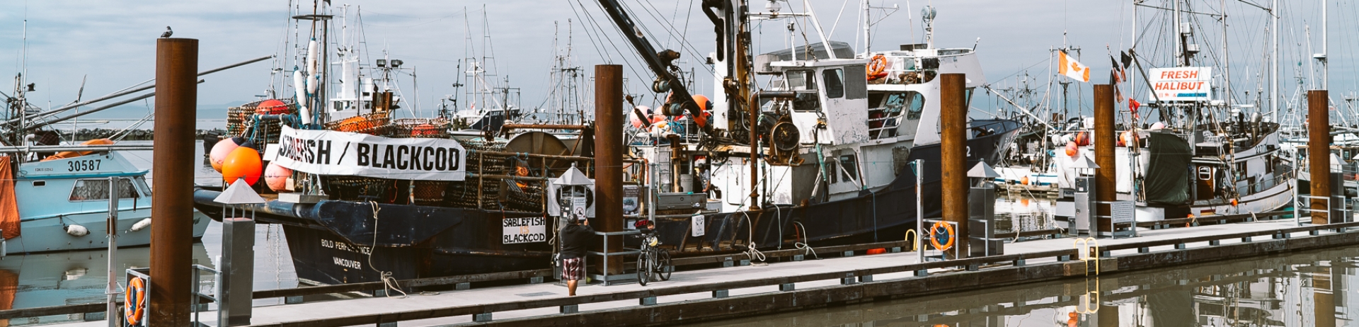 fishing boat docked at pier