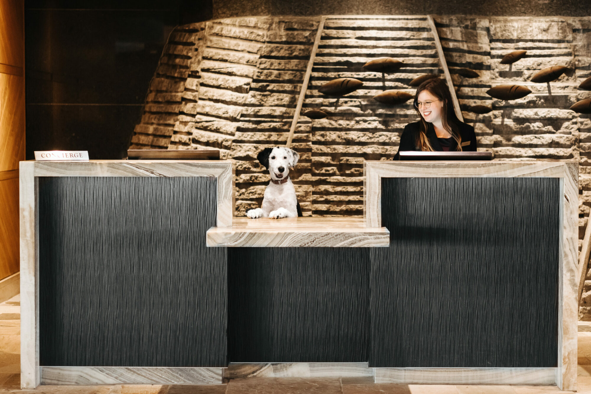 dog and woman working together at the front desk