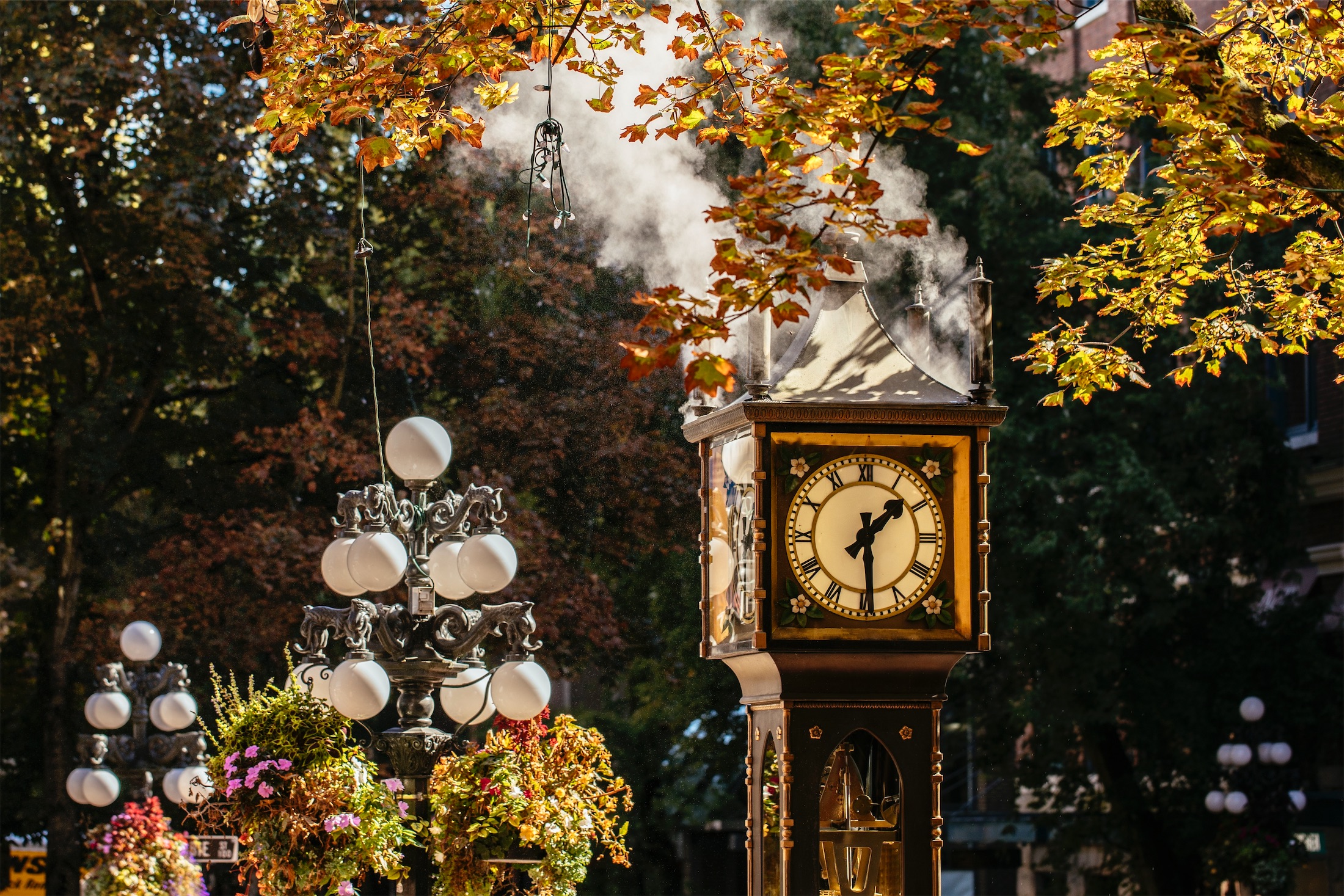 small clock tower in a garden